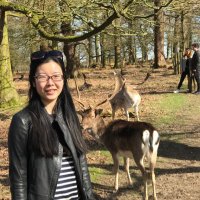 Pinyuan Tian (@pinyuantian) 's Twitter Profile