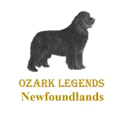 OzarkLegendNewf Profile Picture