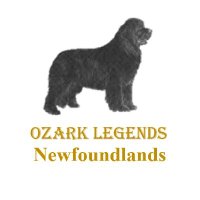 Ozark Legends Newfoundlands(@OzarkLegendNewf) 's Twitter Profile Photo