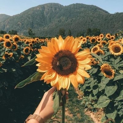 twishystar's profile picture. God's Princess 💓