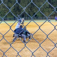 Brian Colder (@bc_softball1) 's Twitter Profile