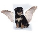 rikki gray fanning - @lilmscupcakes26 - Twitter