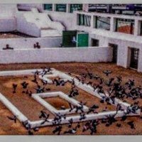 أبٌُـــوٌ قَـٌٓـّاسٌِـّْمٌْ (@yaboqasim) 's Twitter Profile