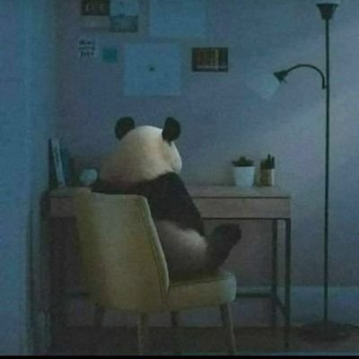 Youssef50527332's profile picture. ان مع العسر يسرا