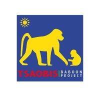 Tsaobis Baboon Project(@TsaobisBaboonP) 's Twitter Profile Photo