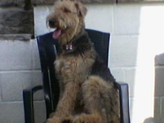 earlofwarwickg's profile picture. 