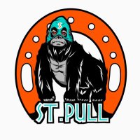 ST.pull【競馬】 (@stpull) 's Twitter Profile