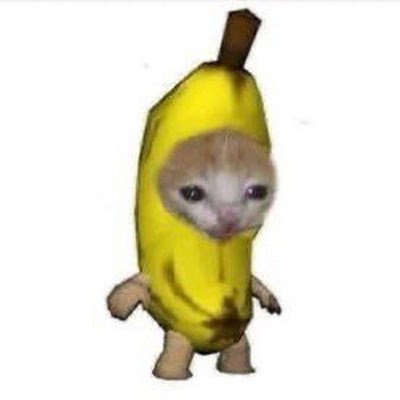 WowLite1270's profile picture. i dont need one :)