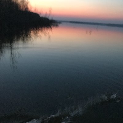 053koba's profile picture. 