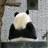 yosshy_'s profile image