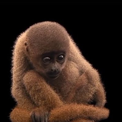 xxmarsupilamixx's profile picture. disaat kamu bilang dia itu ''subhanallah'' , maka berbaliklah karena aku dengan ''naudzubillah'' ada dibelakangmu