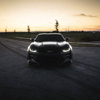 dag_mochex's profile picture. A gentle guy