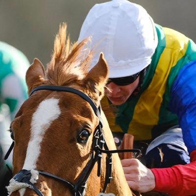 Professional Jockey, Instagram (davidprobert9) sponsored by geegeez