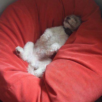 NicNacNewZ's profile picture. 'Do not take life too seriously.  You will never get out of it alive'