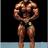 bodybuilderlee's profile image