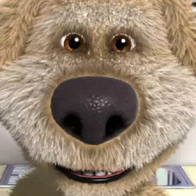 DveloperStudios's profile picture. 