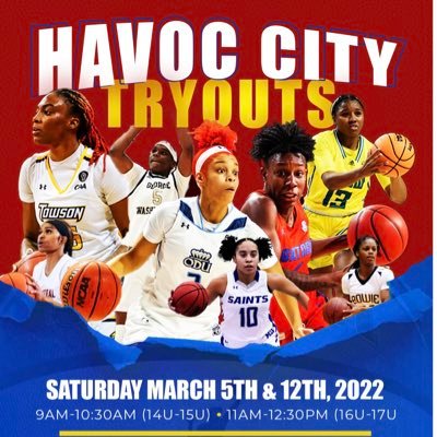 HAVOCCITYELITEBBALL