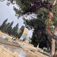 عابرون (@epucatkgl584wch) Twitter profile photo