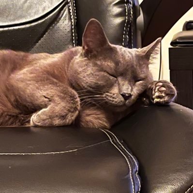 Wazzadec's profile picture. 