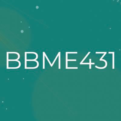 bbme431 Profile Picture