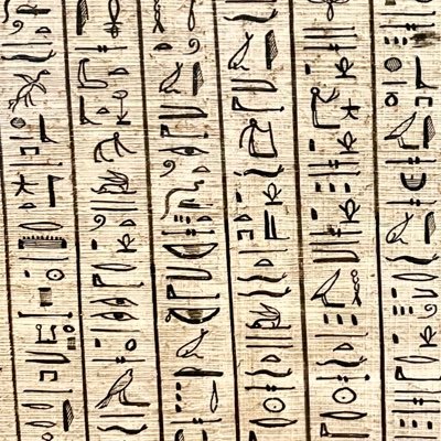 mariech11092676's profile picture. Conseillère pédagogique généraliste - Référente Plan Français