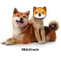 BdcOracle (@bdcoracle) 's Twitter Profile