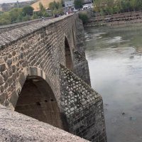 dijwarroj (@dijwarroj) Twitter profile photo