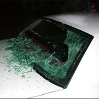 Young Male (@wild_egg) 's Twitter Profile Photo