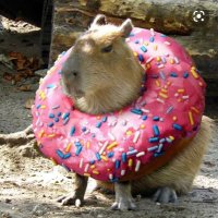 Tammy ☮️🌻🌻🌻🟧 (@tamster_d) 's Twitter Profile