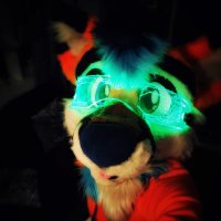 Kyro Fox (@kyrofoxxie) 's Twitter Profile