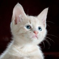 أياك أن تؤذي روحا لا يسمع أنينها إلا الله (@alamyrhtwtw) 's Twitter Profile Photo أياك أن تؤذي روحا لا يسمع أنينها إلا الله (@alamyrhtwtw) 's Twitter Profile Photo