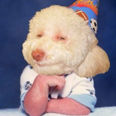 BomScrom's profile picture. 