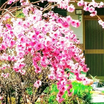 長野県伊那市在住
晴耕雨読（最近は晴読雨読）の生活。

原点は江戸川乱歩の「少年探偵団」
その後、ミステリ小説、SF小説、時代小説、ハードボイルド小説、冒険小説、エッセイ等ジャンルを問わず読書する毎日です。
無言フォロー失礼します。