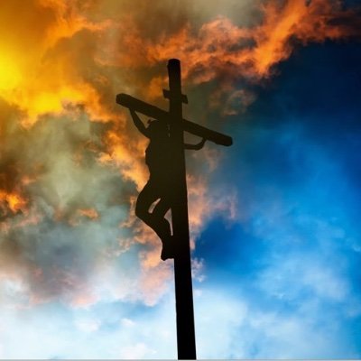 cupra8322's profile picture. Jesus First! 
Christ is King ✝️