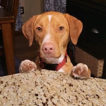 SSutton70's profile picture. 