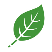 The Green Coffee Company is a coffee shop based in the Cambridge Tourist Information Centre complex (Cambridge, UK).
