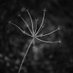 Jim Harper (@jimharperphoto) Twitter profile photo Jim Harper (@jimharperphoto) Twitter profile photo