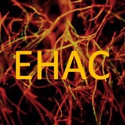 EHAC connects historians and historical research to the major environmental, climate, and political crises of our time.