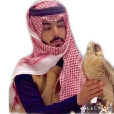 xbx555555's profile picture. 