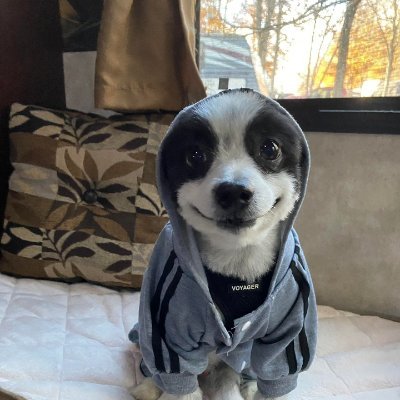 Dentistwho10's profile picture. Makkhan/Malai