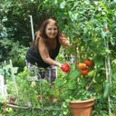 polly ward - @pollyward42 - Twitter