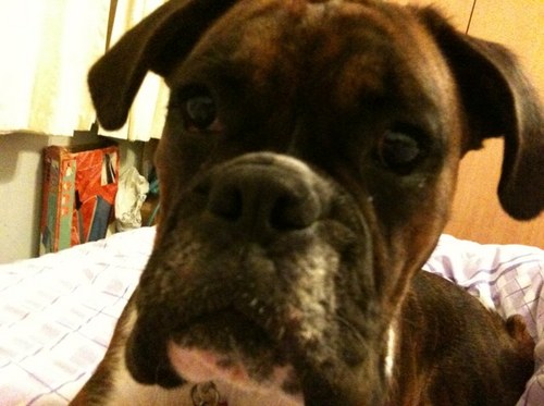 bigjohnbhoy's profile picture. 