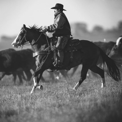 Photographer for brands and agencies wanting authentic imagery. Stills and moving images. #alwaysonajourney