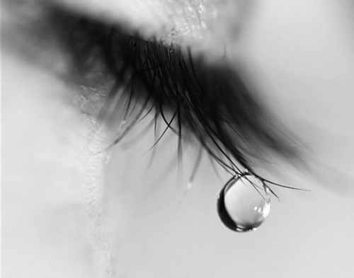 koerapp's profile picture. 