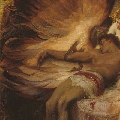 celinelanstsov's profile picture. ina