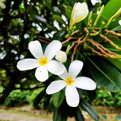 naturevibes__'s profile picture. Instagram I'd: __naturevvibes