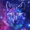 MoonWolfia's profile picture. 