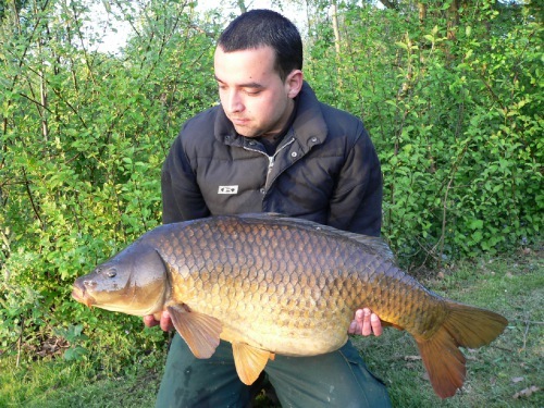 carpaanbieding's profile picture. Karperaanbieding.nl heeft ALTIJD een super aanbieding!!
En natuurlijk gezellig twitteren over de vangsten, vissen etc.!