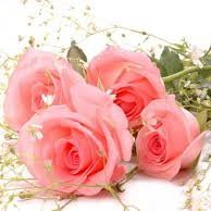 nidhi01sep's profile picture. 