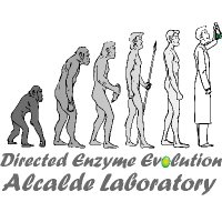 Miguel Alcalde Laboratory (@malcaldelab) 's Twitter Profile Photo Miguel Alcalde Laboratory (@malcaldelab) 's Twitter Profile Photo